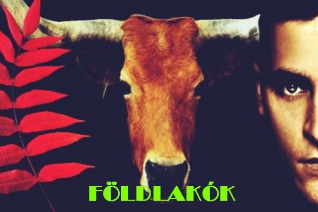 foldlakok-Z-674X428